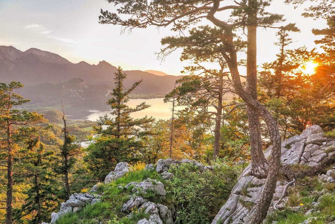 ontdek de mooiste wandelroutes in nederland! van schilderachtige natuur tot uitdagende trails, perfect voor elke avontuurlijke reiziger.