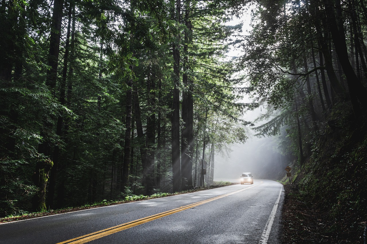 ontdek de mooiste scenic drives die adembenemende uitzichten en onvergetelijke ervaringen bieden. van kronkelige kustwegen tot schilderachtige bergpassen, deze autoroutes zijn perfect voor reizigers die de natuur willen verkennen.
