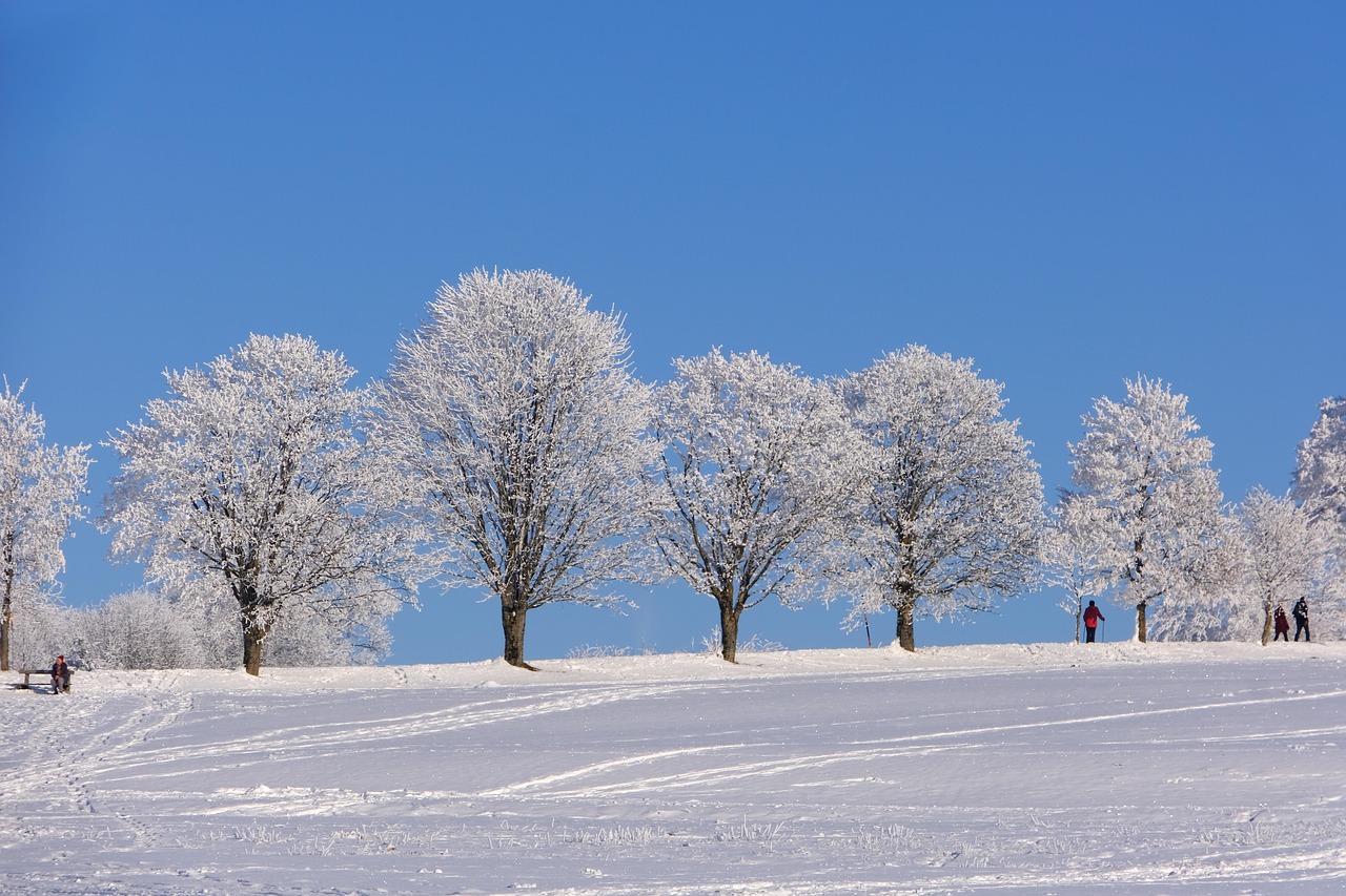 geniet van een onvergetelijke wintervakantie vol sneeuw, avontuur en ontspanning. ontdek de mooiste skigebieden, verwarmende berghutten en betoverende winterlandschappen. perfect voor gezinnen en vrienden!